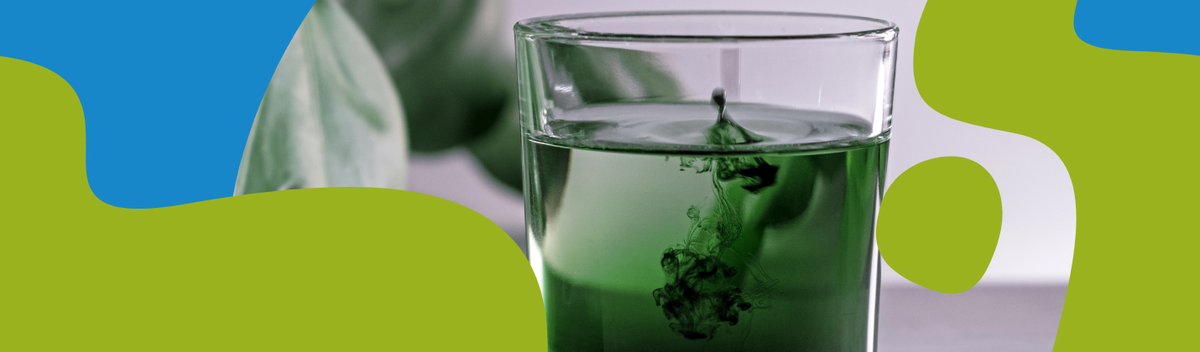 Chlorophyll: Benefits, Sources & Supplements Explained
