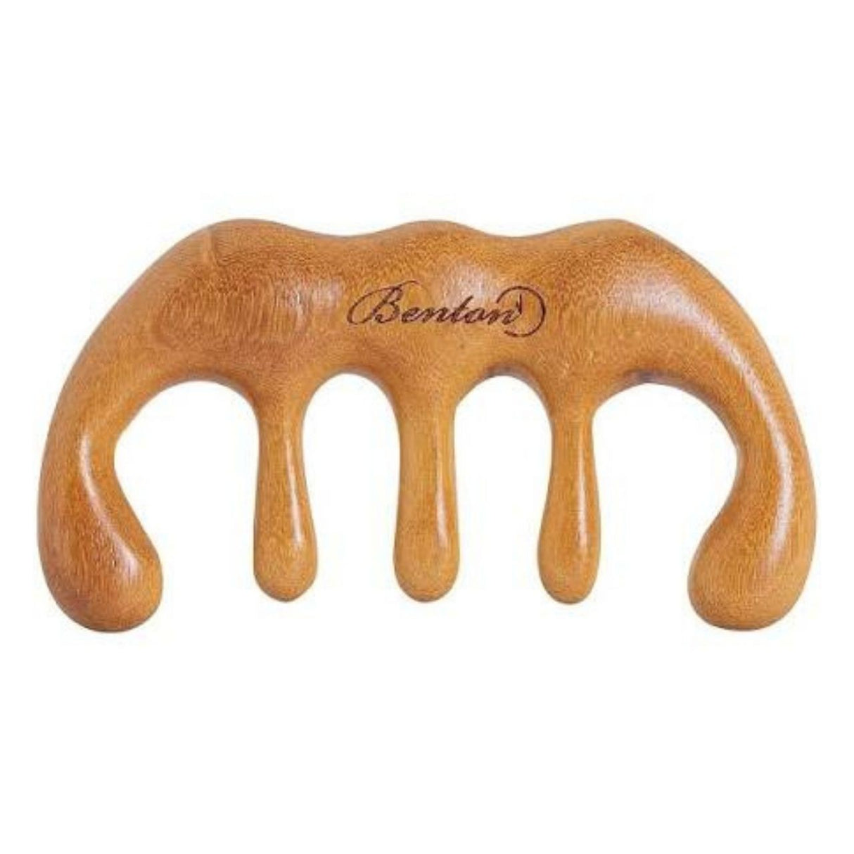 Benton Scalp Brush Massager - 1 Piece