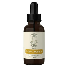 Nanga Sida Acuta Herbal Extract 1:1 - 50 ml