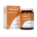 Vitaler's Cordyceps 500 mg - 60 Capsules
